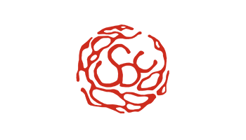 Logo Skin Deep Collective